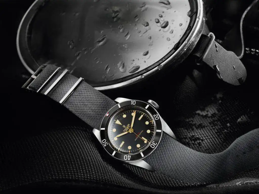Tudor-2-1024x767.webp