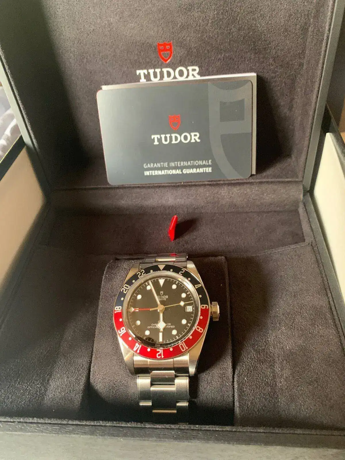 TUDOR 2.webp