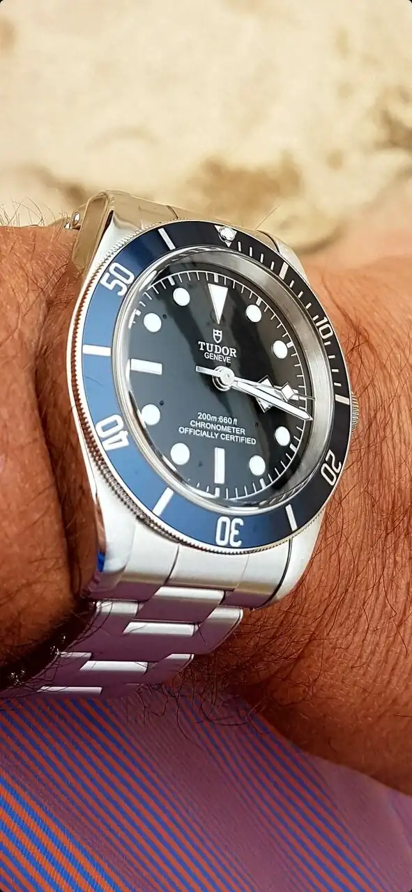TUDOR 2.webp