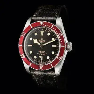 TUDOR%2BHERITAGE%2BBlack%2BBay%2B04.webp
