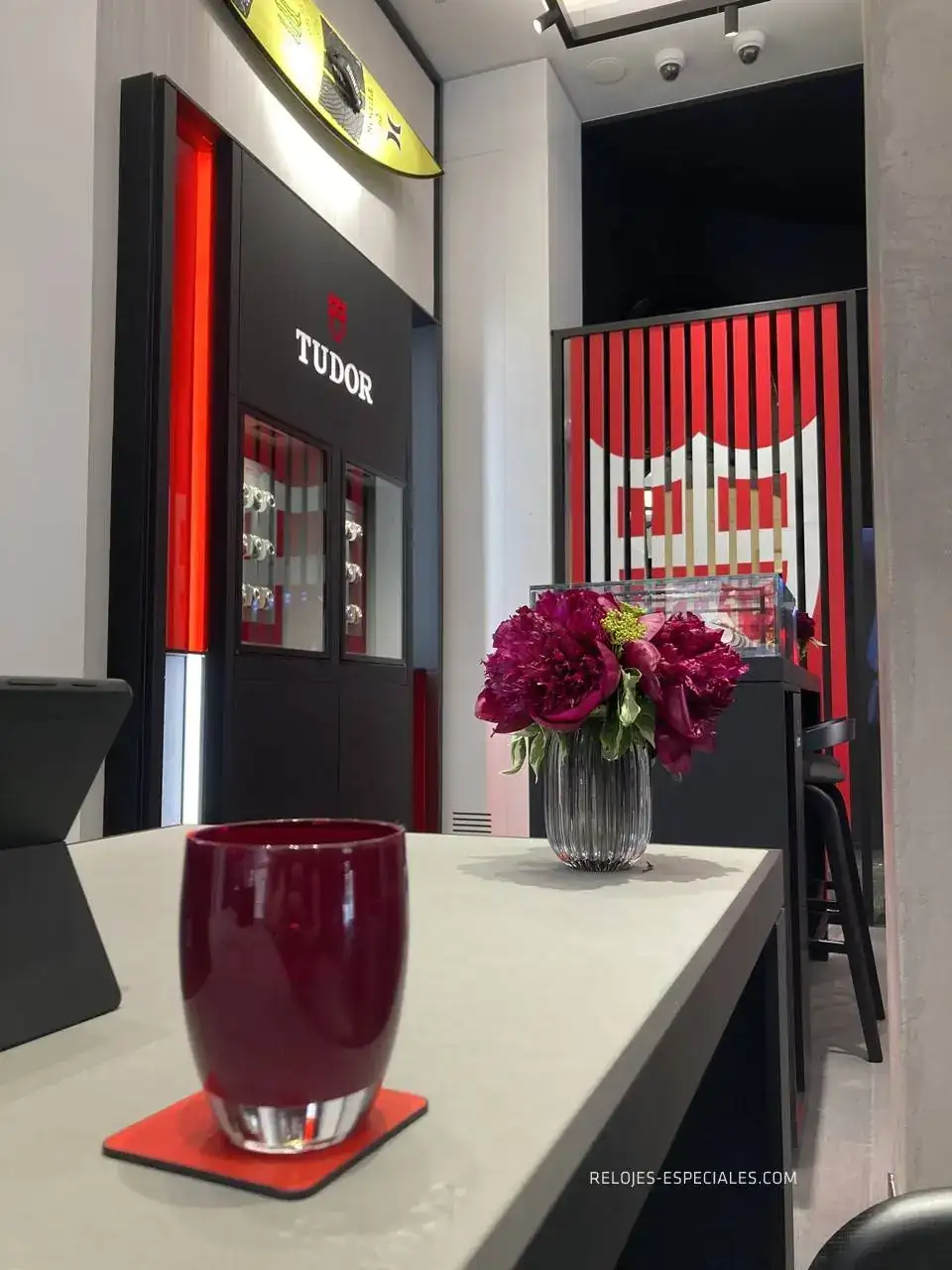 Tudor-9.JPG