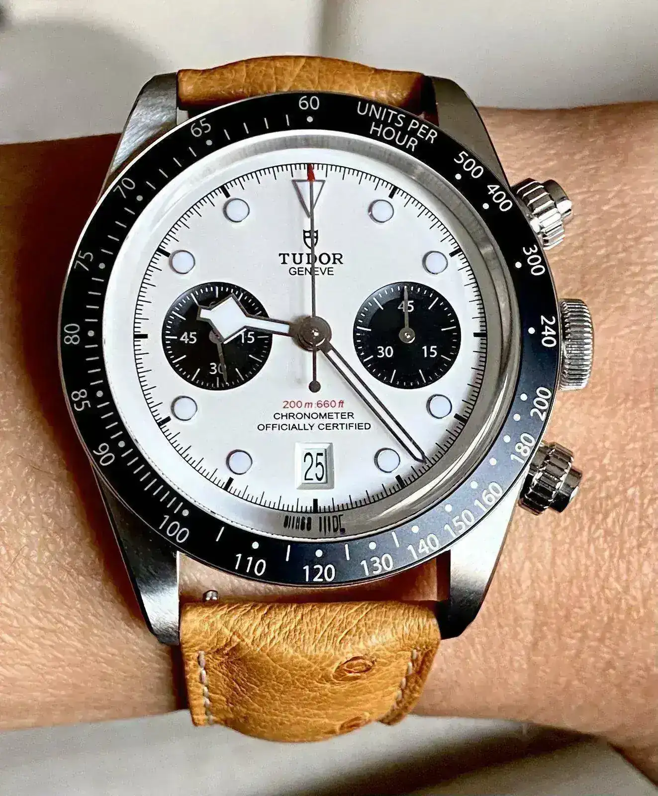 Tudor.Avestruz.webp