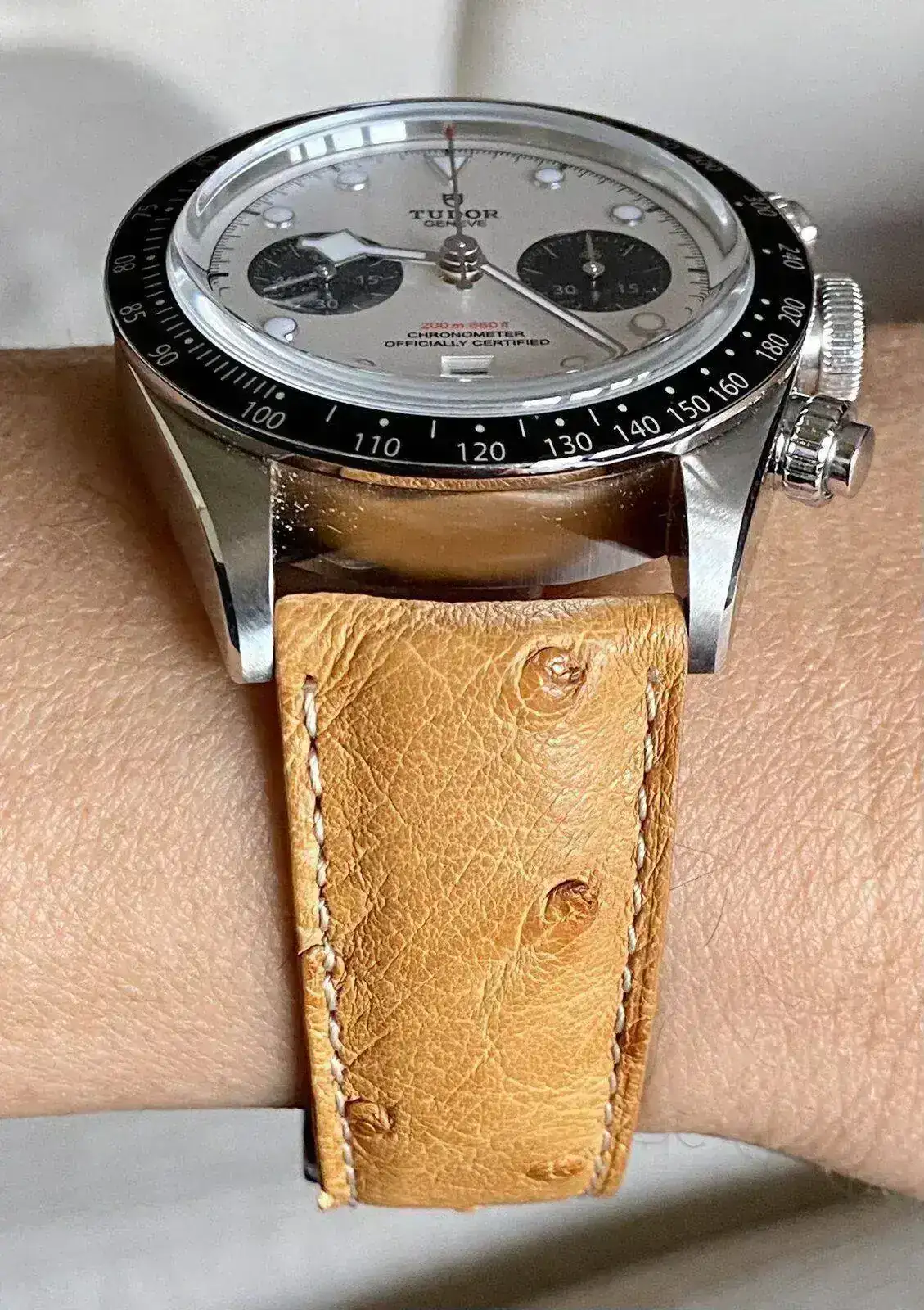 Tudor.Avestruz1.webp