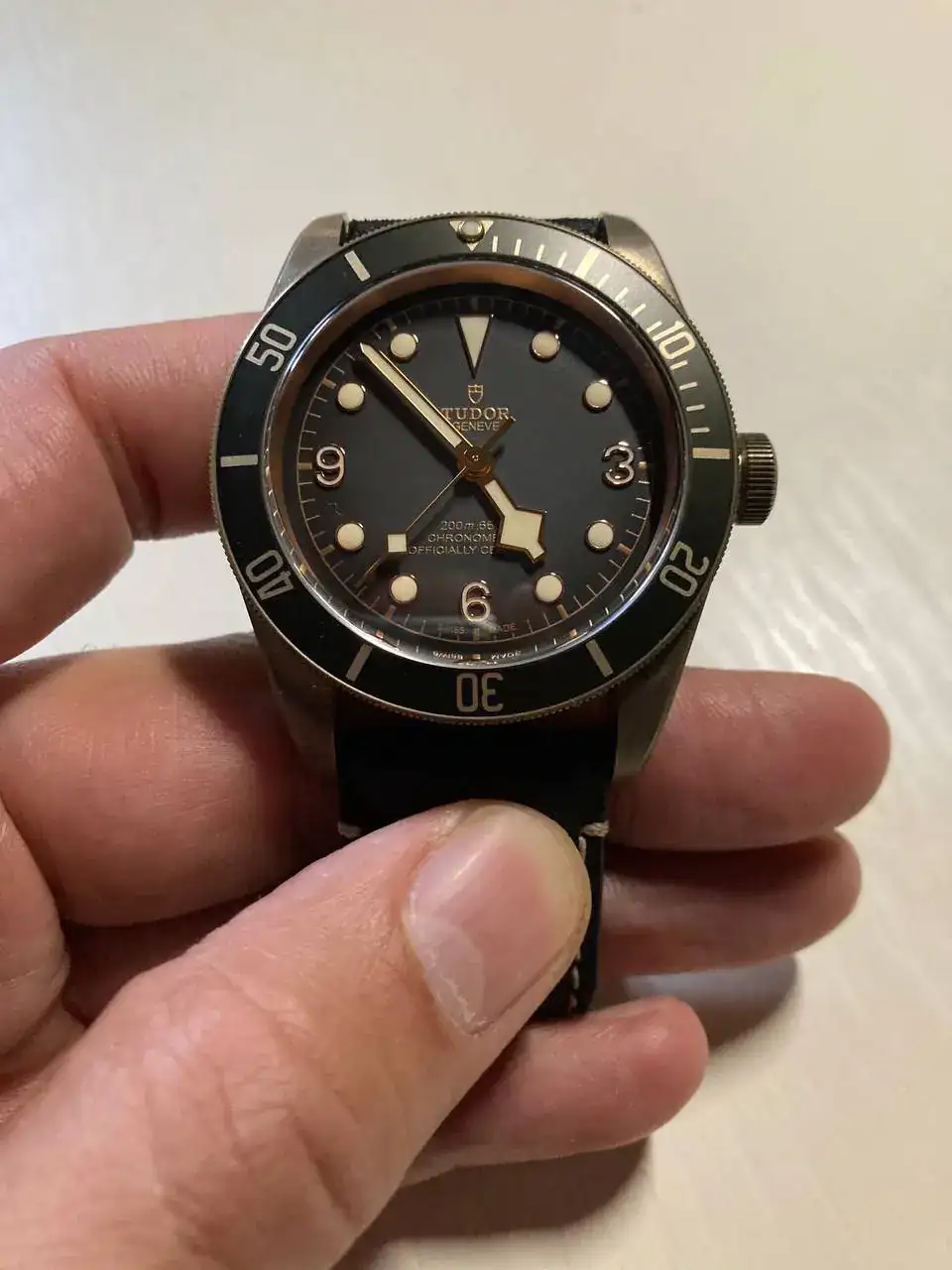 Tudor BB Bronce.webp