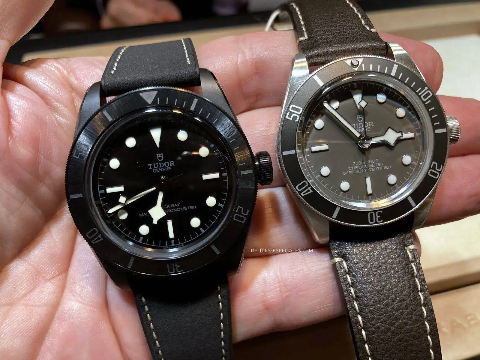 Tudor-BB-Ceramica-Plata.webp