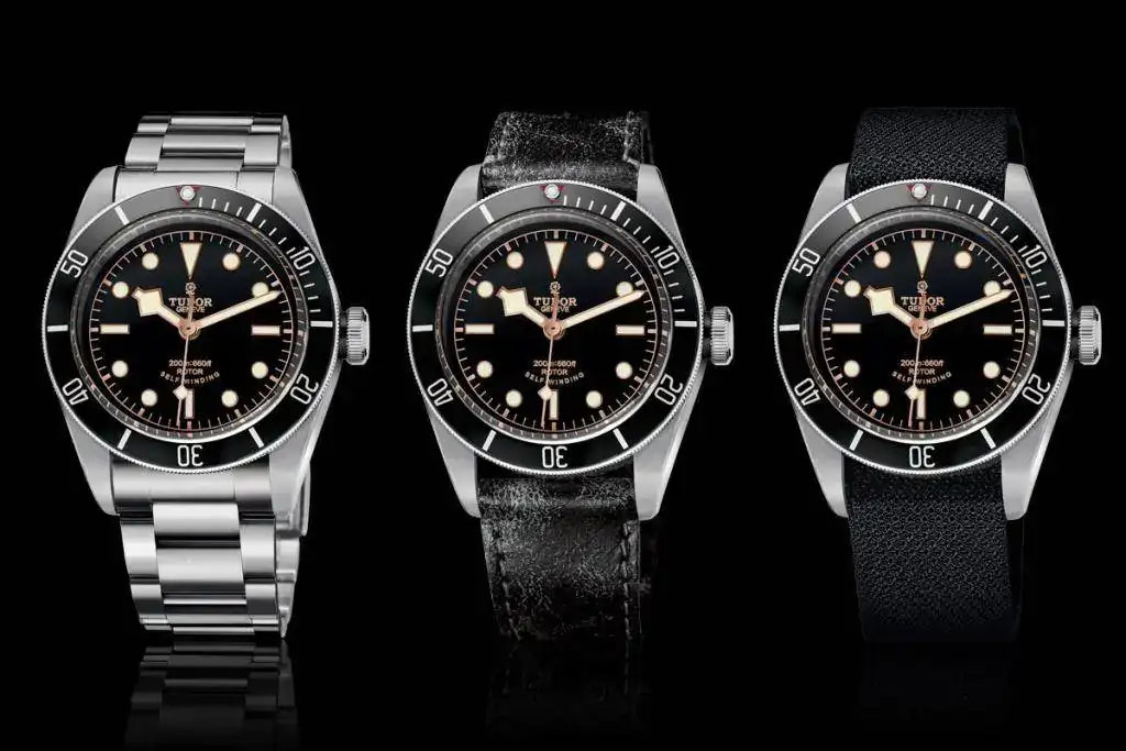 Tudor-Black-Bay-Black-Bezel-79220N-full-collection-steel-bracelet-leather-strap-fabric-strap.webp