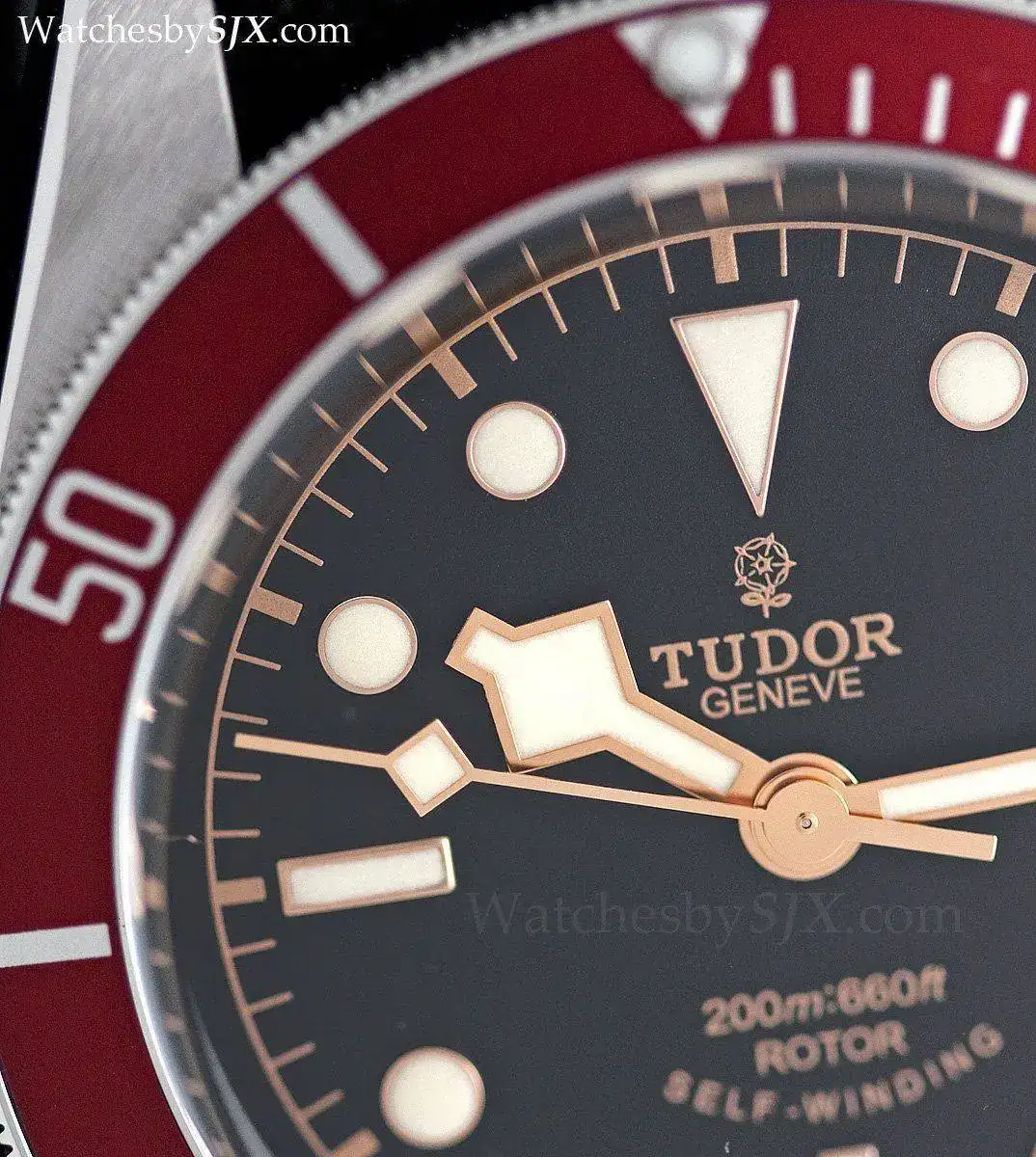 Tudor+Black+Bay+dial+detail.webp