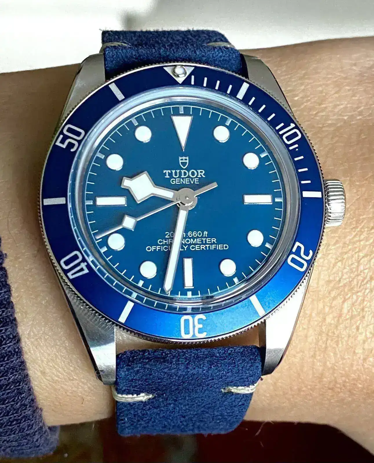 Tudor.Blue.webp