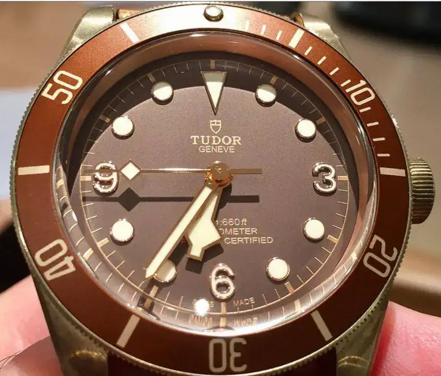Tudor-Bronce-2.webp