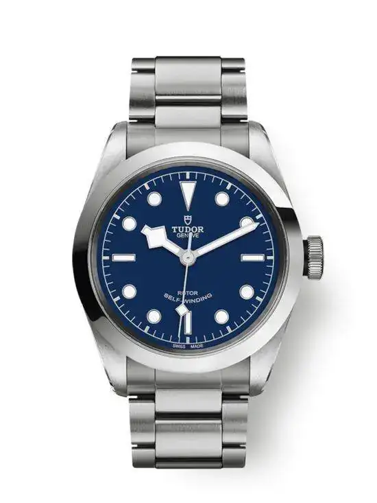 tudor-m79540-0004.webp