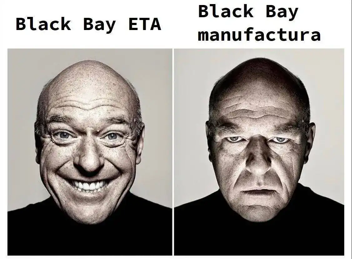 tudor memejoraste.webp