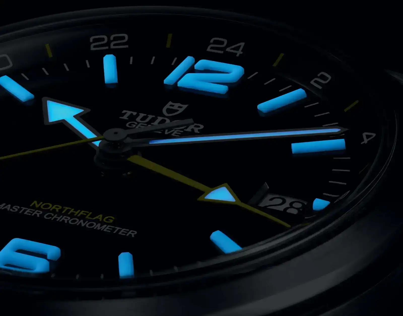 Tudor-NorthFlag-3.webp