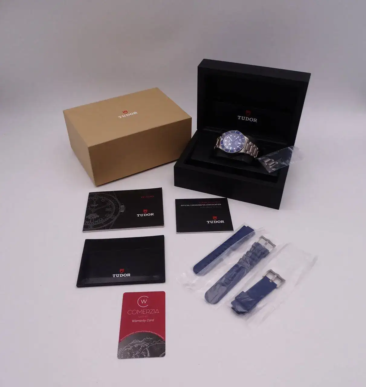 Tudor Pelagos Blue 03010.JPG