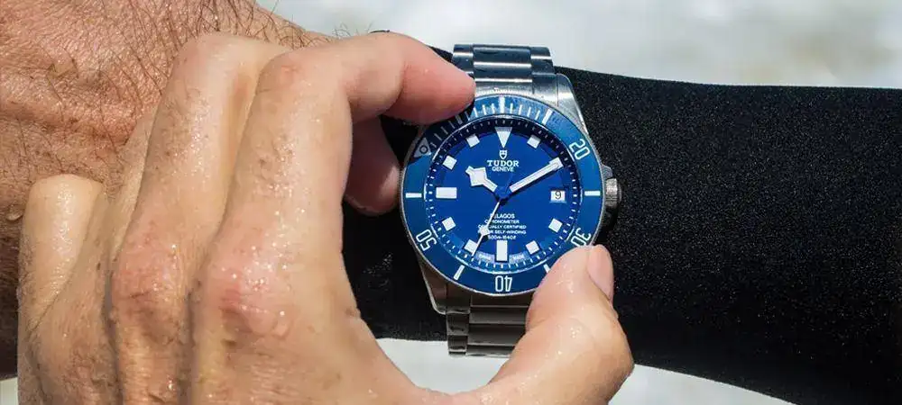 tudor-pelagos.jpg