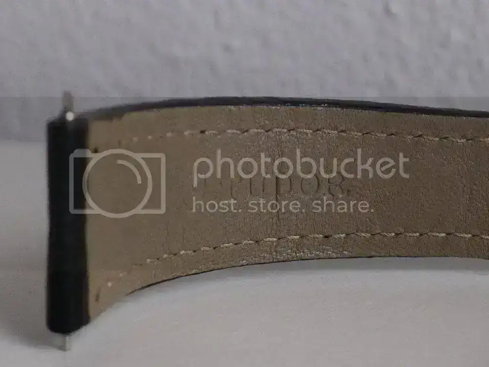tudor-piel-3_zpsc36f4256.webp