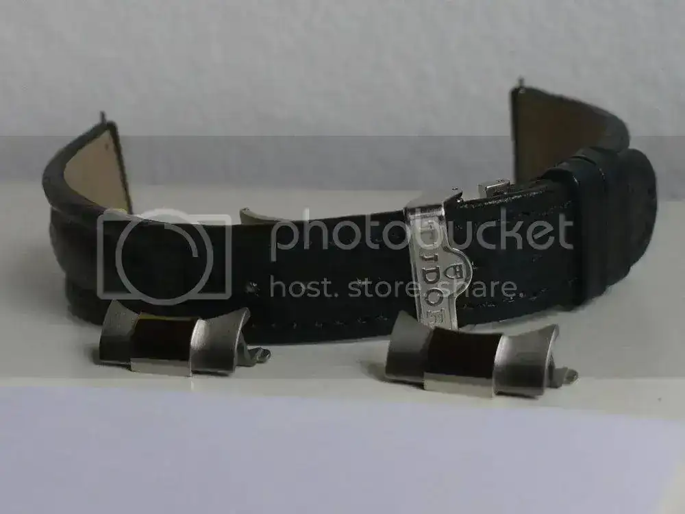 tudor-piel-5_zps05fa613e.webp