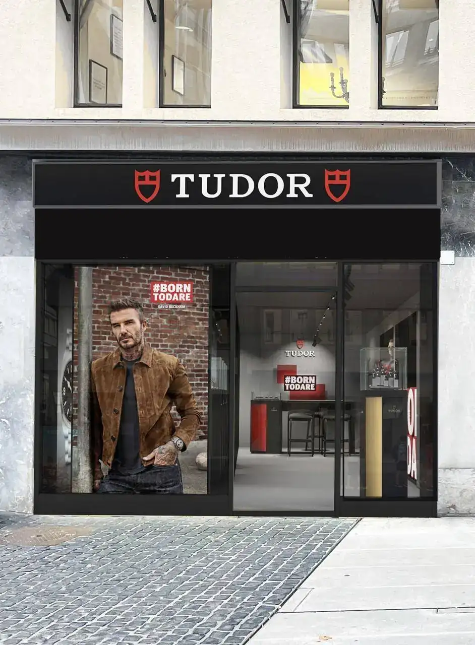 Tudor popup.webp