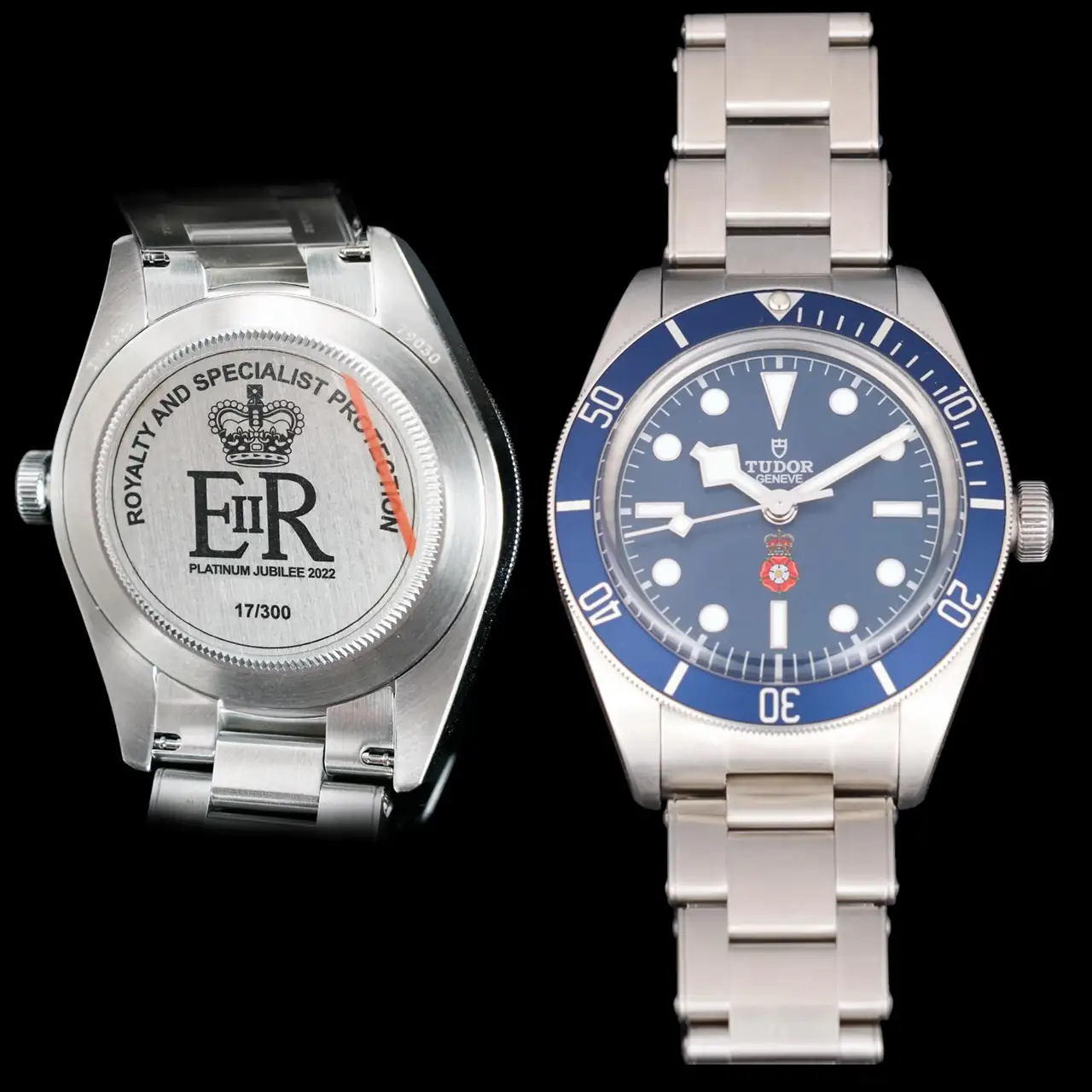 TUDOR RASP.webp