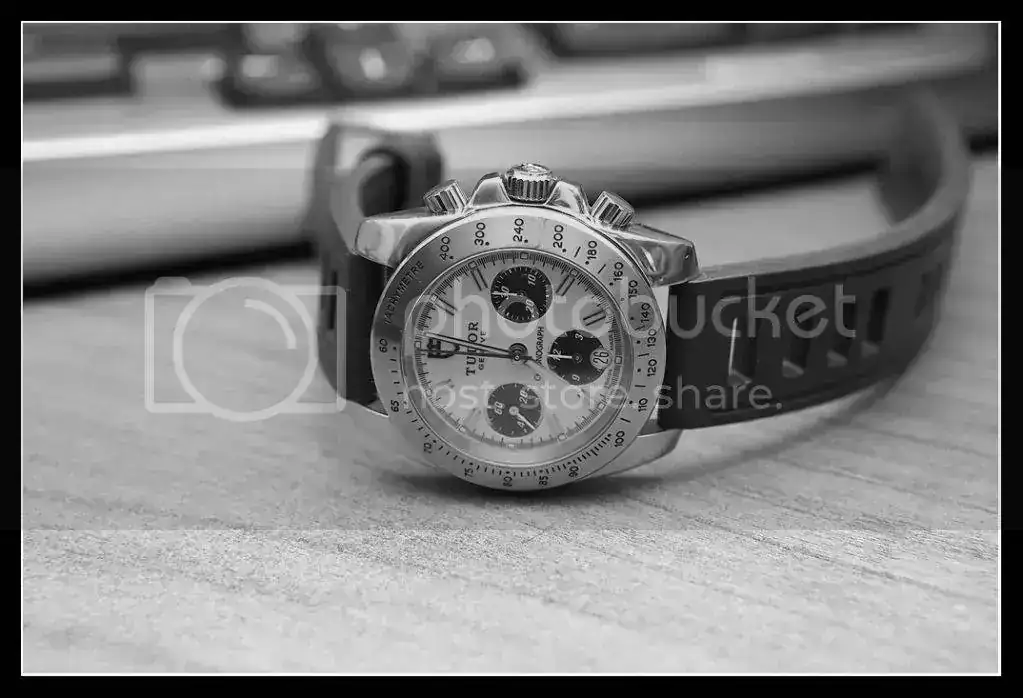 tudor.webp