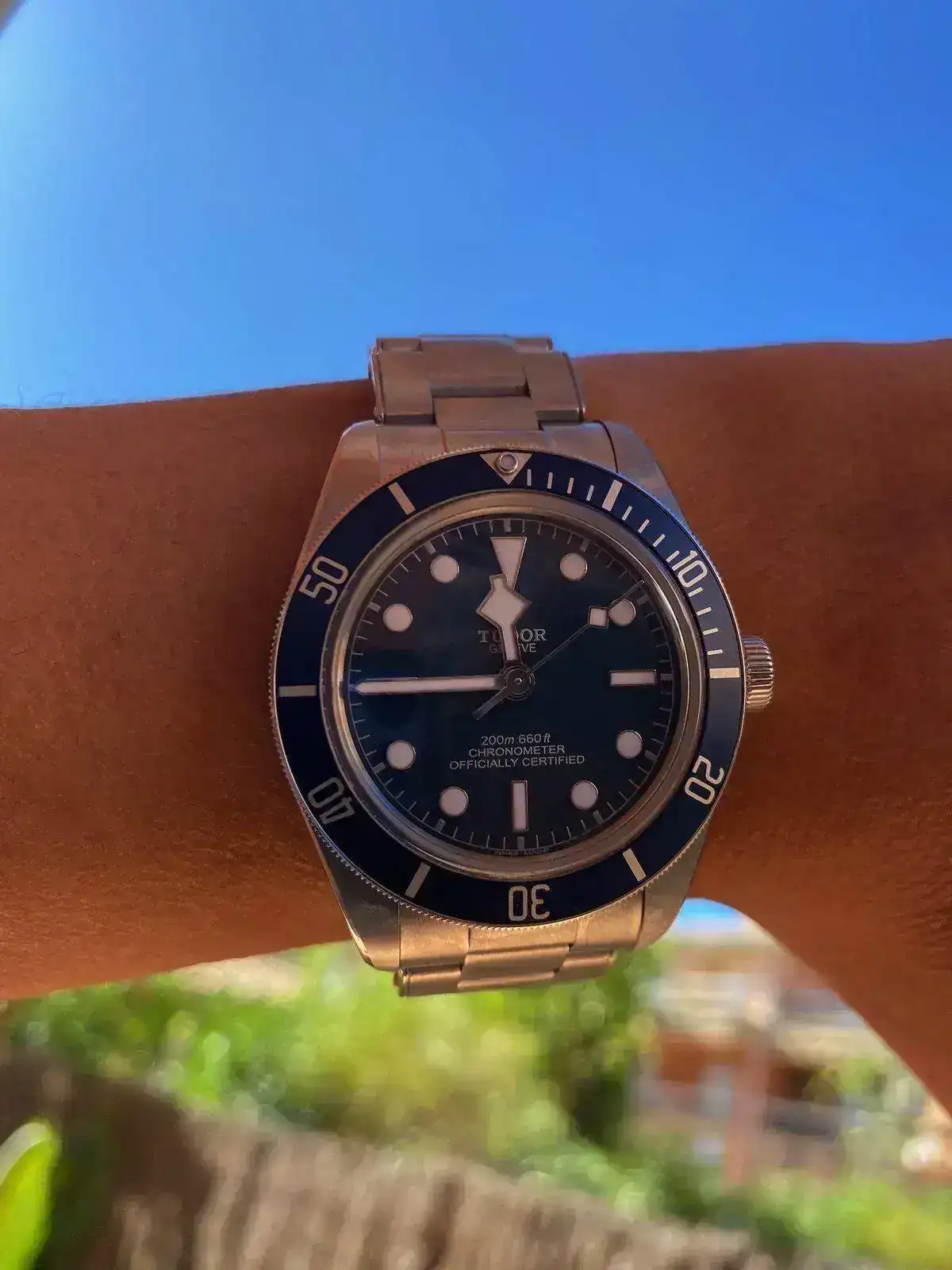 Tudor.webp