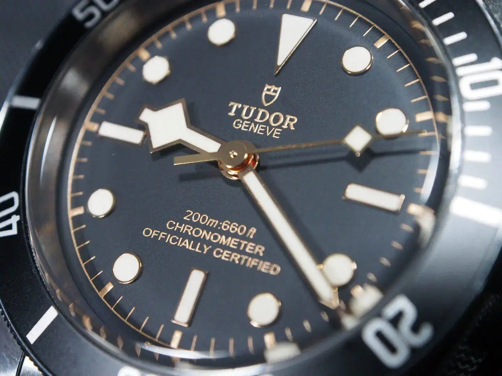 tudor.webp