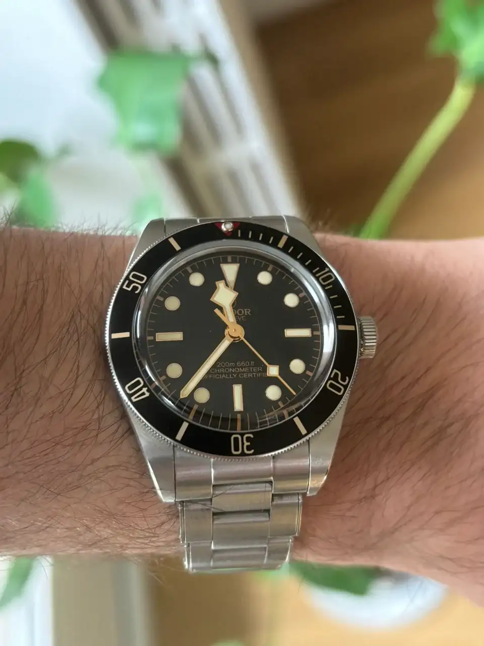 Tudor.webp