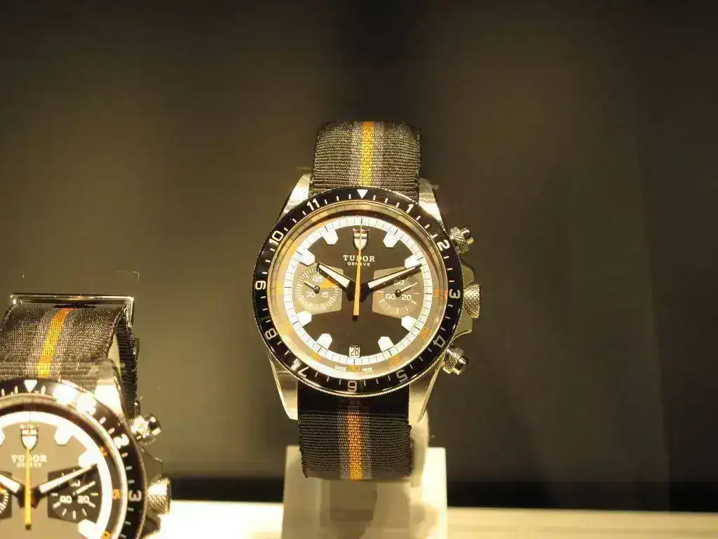 Tudor04.webp