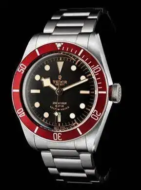 tudor4.webp
