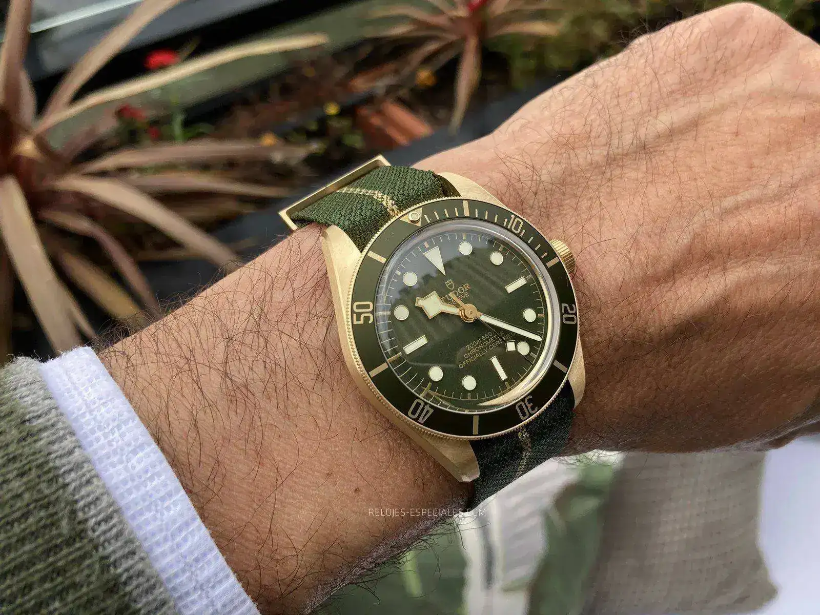 Tudor_BB_oro-4.webp