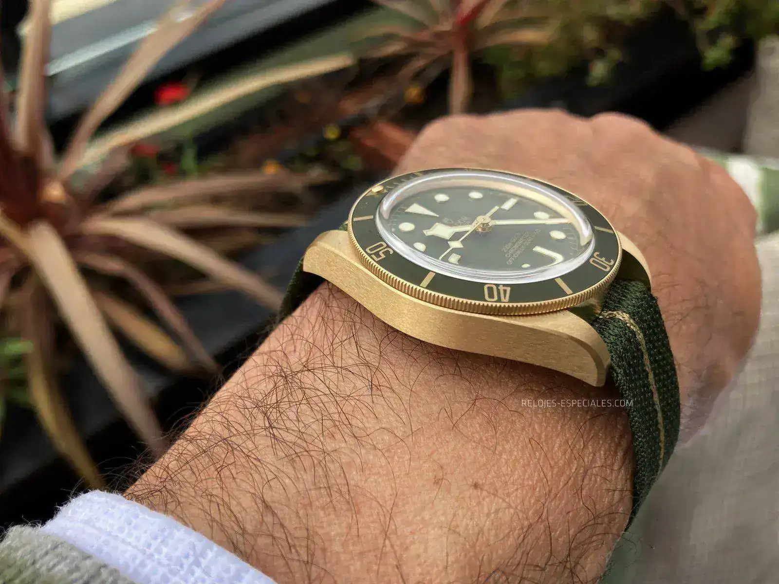 Tudor_BB_oro-5.webp