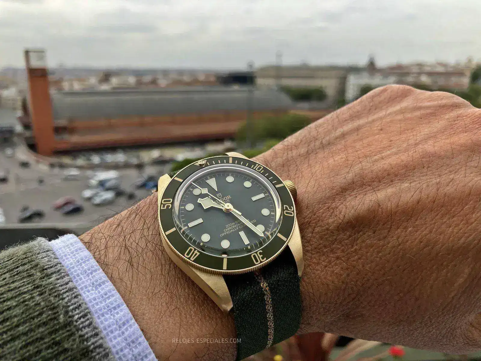 Tudor_BB_oro-6.webp