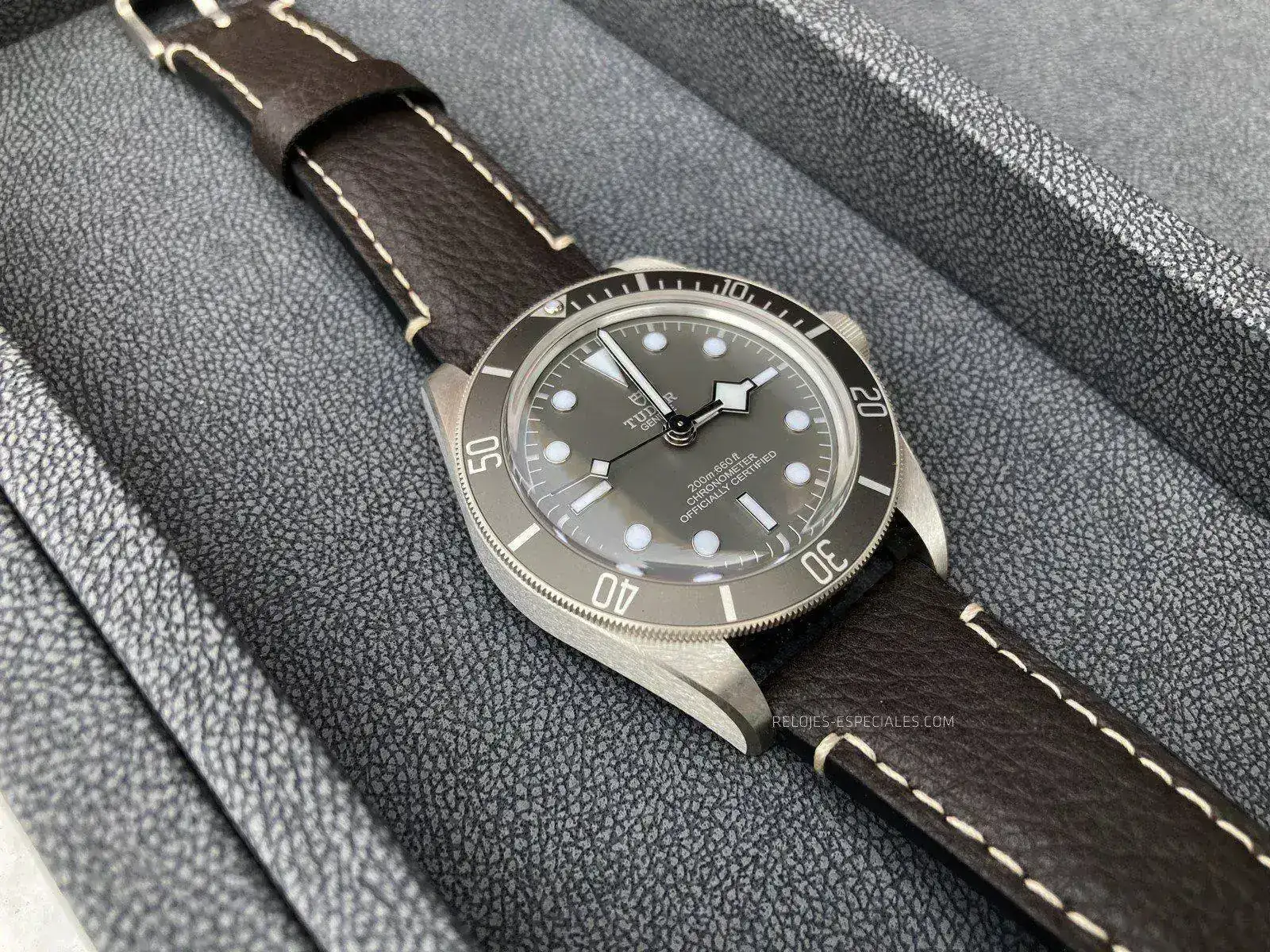 Tudor_BB_Plata-3.webp