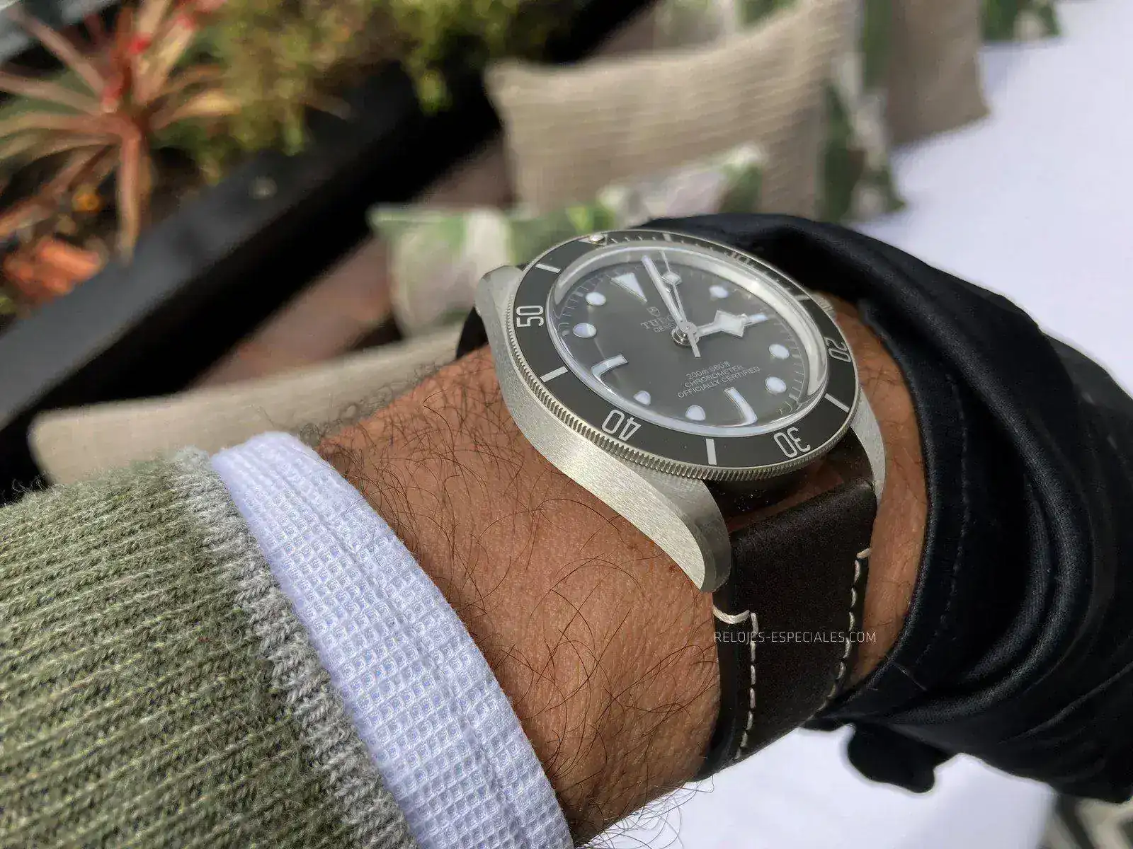Tudor_BB_Plata-4.webp