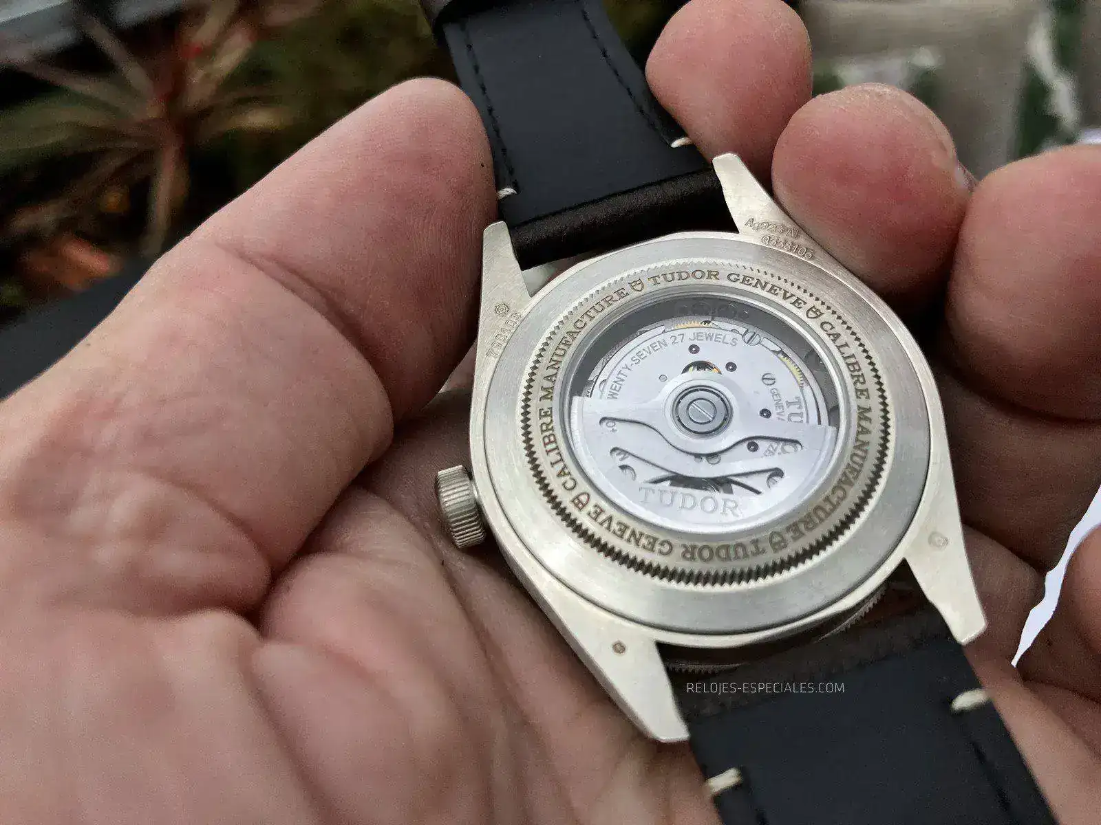 Tudor_BB_Plata-6.webp