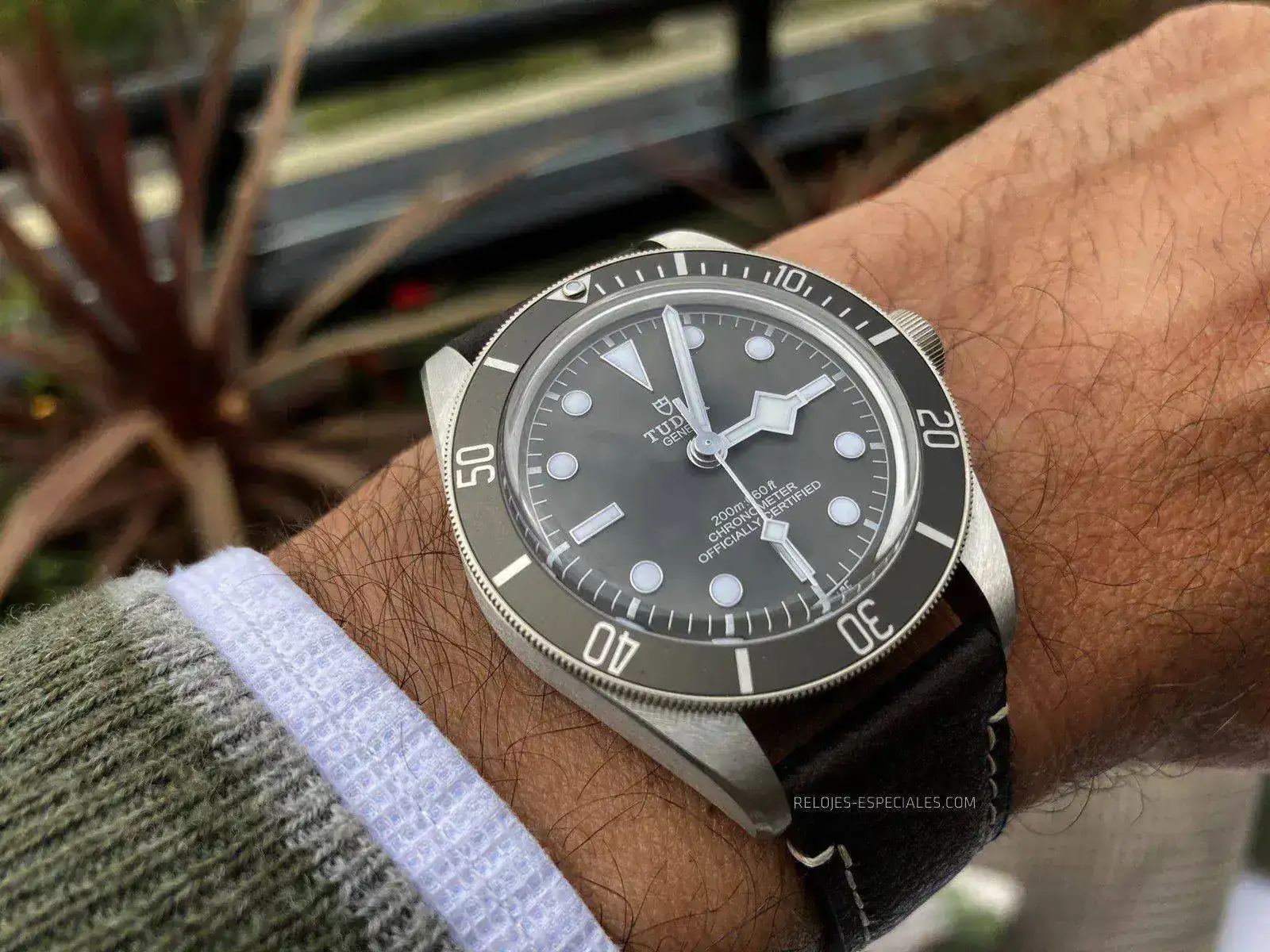 Tudor_BB_Plata-7.webp
