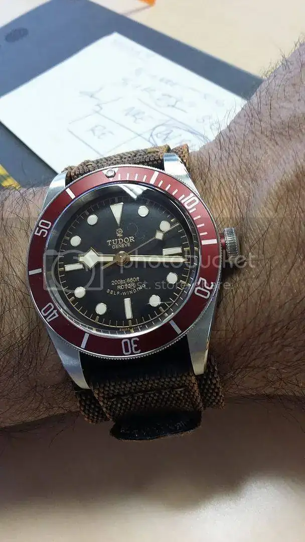 Tudor_Friday_zpscyaq0gwk.webp