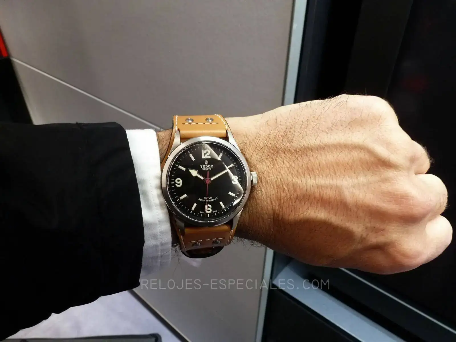tudor_ranger-2.webp