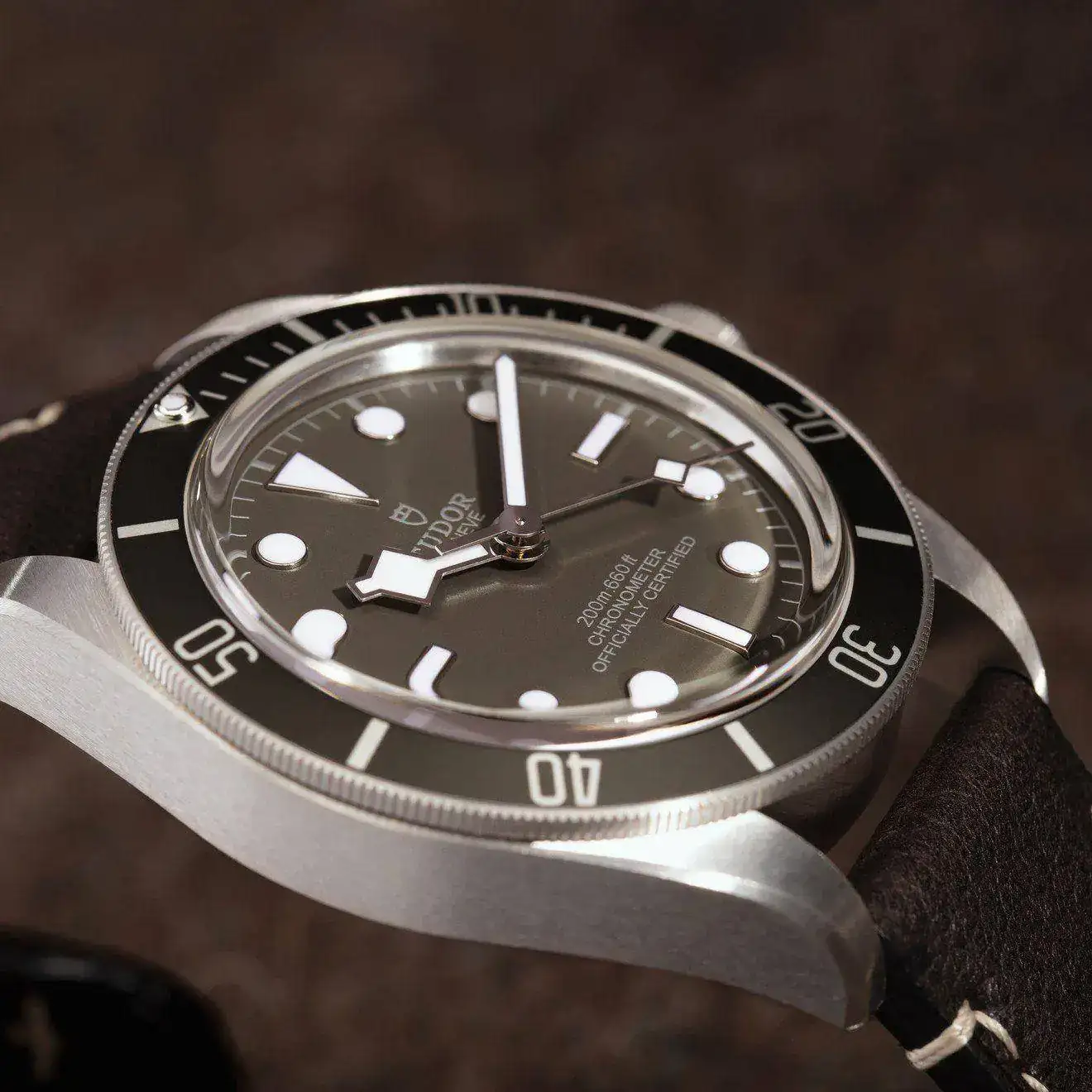 TudorBB58-plata.webp
