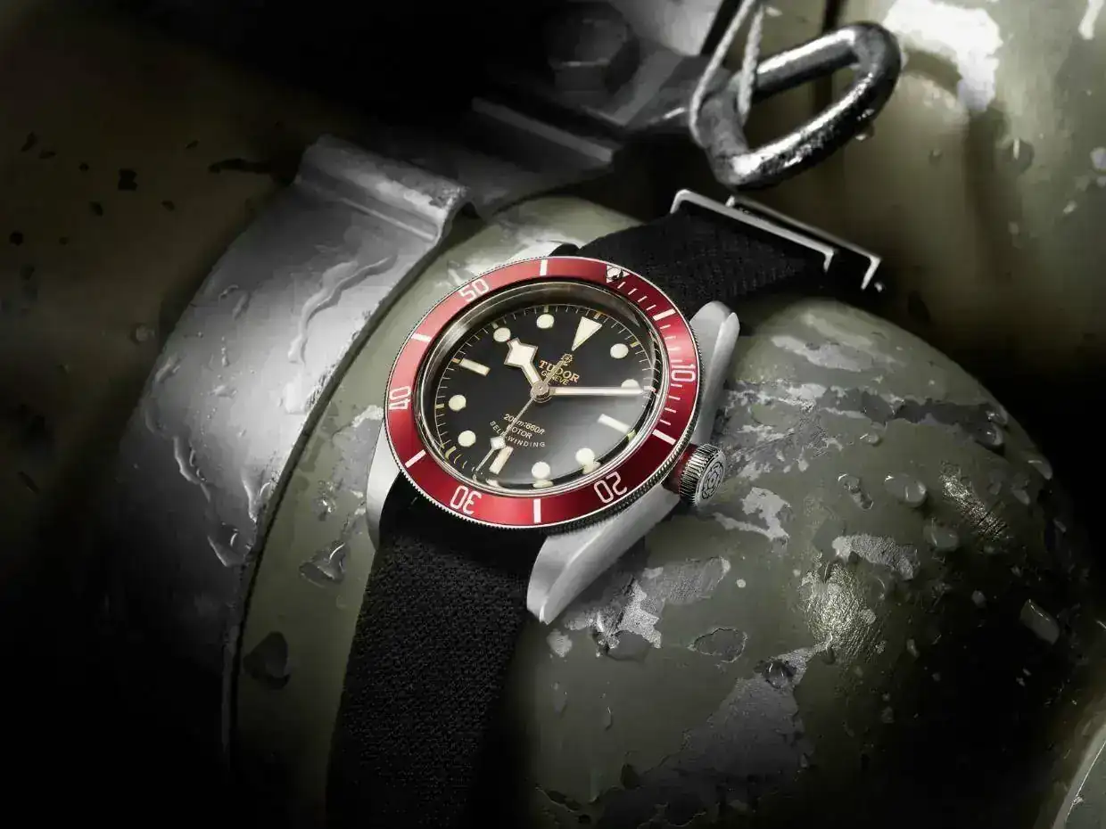 tudordiver1.webp