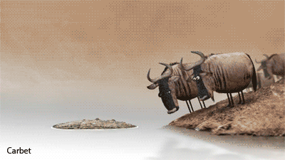tumblr-mrw8vvoq-X41s2gg27o1-400.gif