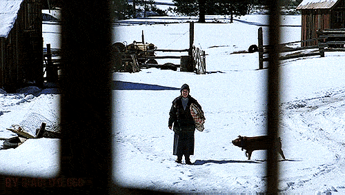 tumblr-nz5q652or31rp0vkjo1-500.gif