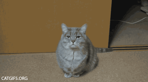 tumblr_inline_nwpgqrKtrA1rw2s4s_500.gif