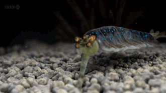 tumblr_mimifpOfeY1rxyvj1o1_400.gif