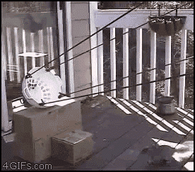tumblr_mr4ej4PsPV1r0chexo1_400.gif