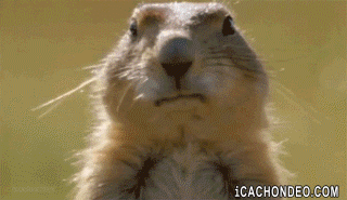 tumblr_mre509MwYz1s917bwo1_400.gif