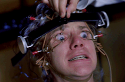 tumblr_mt02r9umpu1qjx7xto1_250.gif