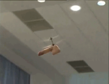 tumblr_ne5h7g6Jpi1sviuduo1_400.gif