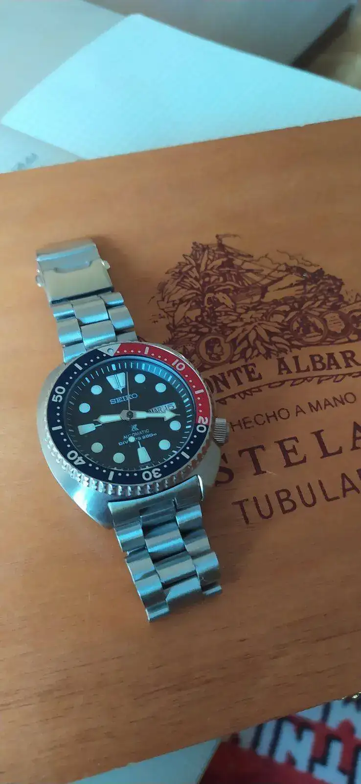 Turtle 014.webp