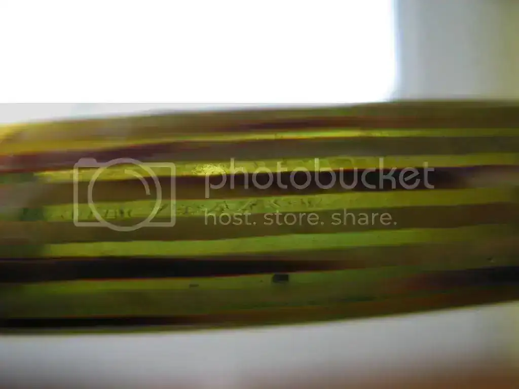 Turtoise003.webp