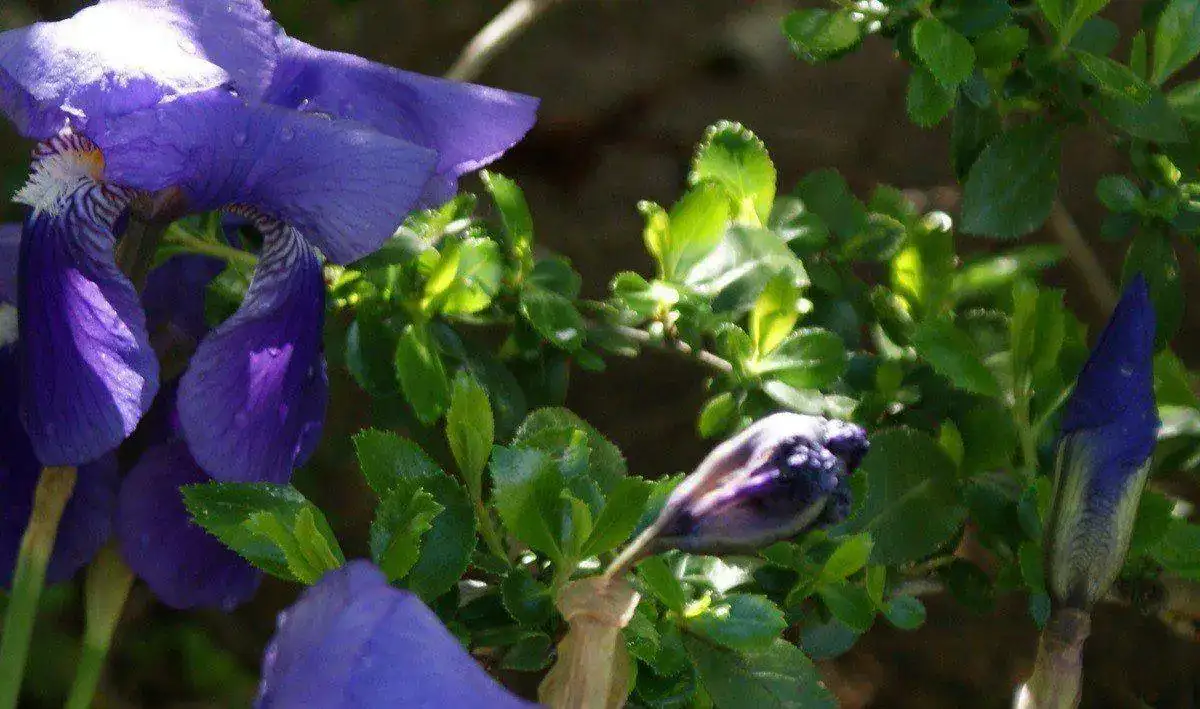 u7T3E9.webp